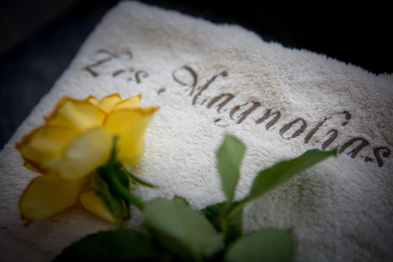 Les Magnolias Holiday Homes Lalinde Экстерьер фото